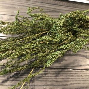#4~Dried Herb Bundle~SWEET WORMWOOD Floral Crafts Farmhouse Decor~Very Aromatic!